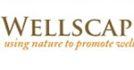 wellscapes